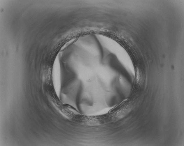 X0000080721492200701051021