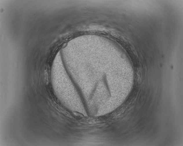 X0000080721493200701051021