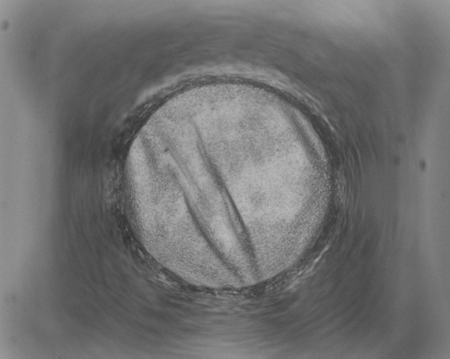 X0000080721494200701051021