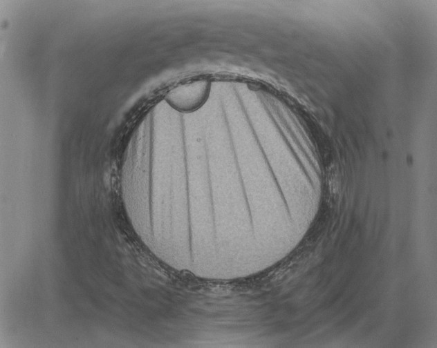 X0000080721495200701051021