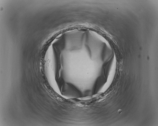 X0000080721496200701051021