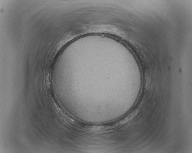 X0000080721497200701051021