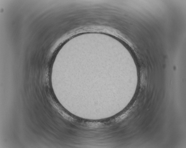 X0000080721498200701051021