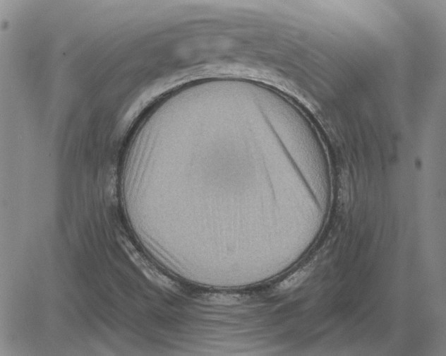 X0000080721499200701051021