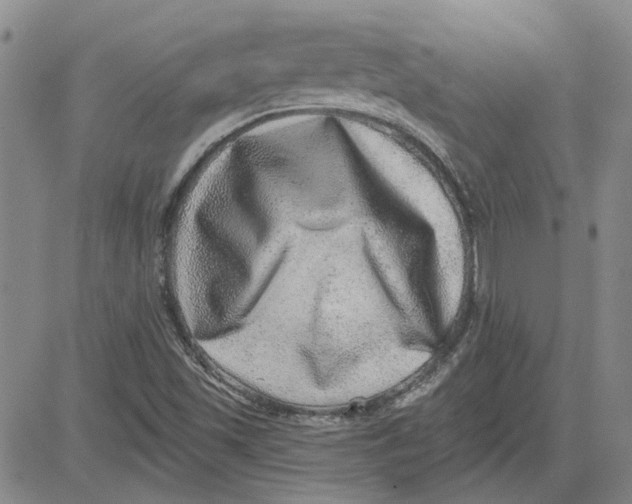 X0000080721501200701051021