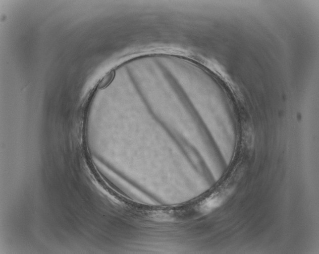 X0000080721504200701051021