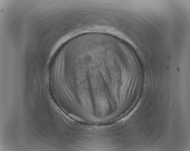 X0000080721506200701051021