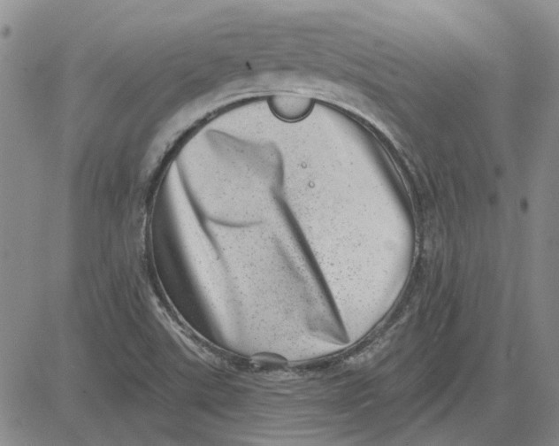 X0000080721507200701051021