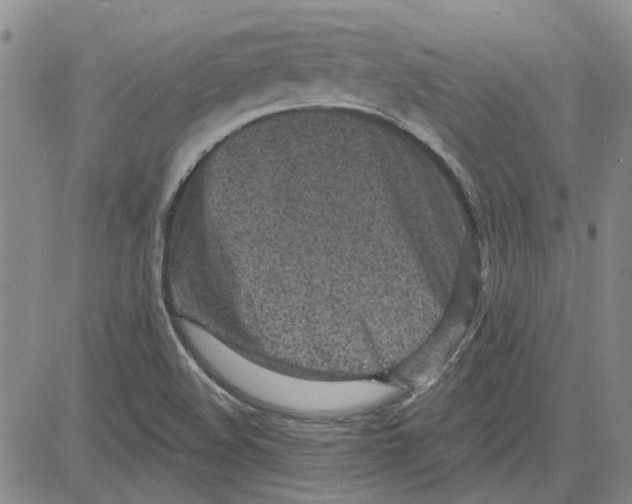 X0000080721508200701051021