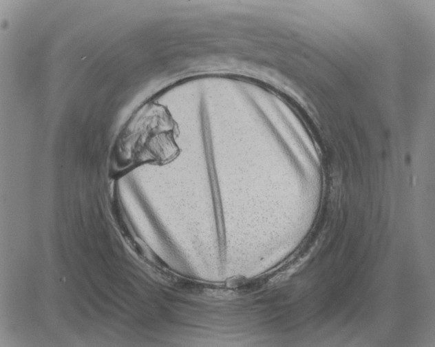 X0000080721509200701051021