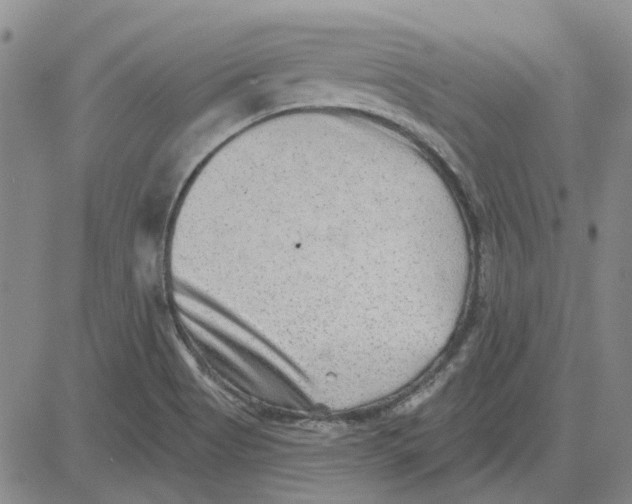 X0000080721513200701051021