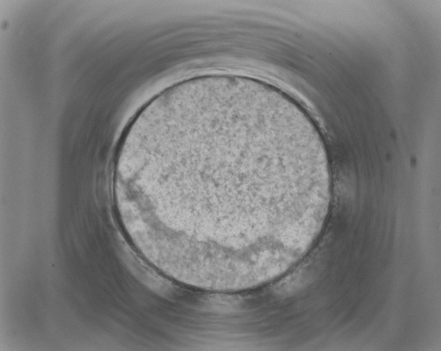 X0000080721514200701051021