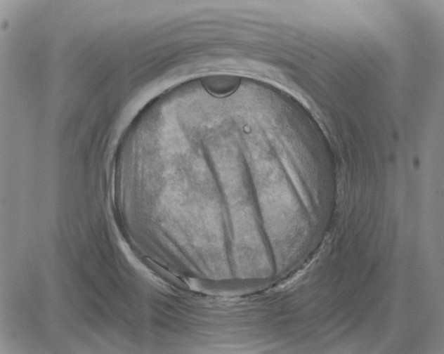 X0000080721515200701051021