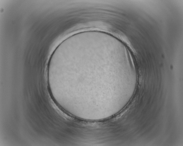 X0000080721516200701051021