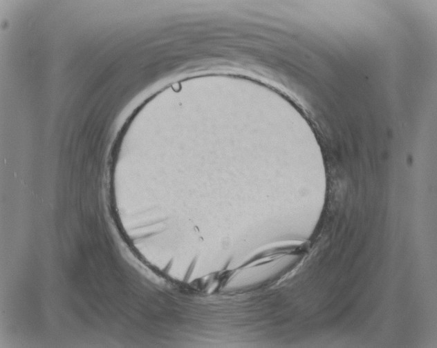 X0000080721518200701051021