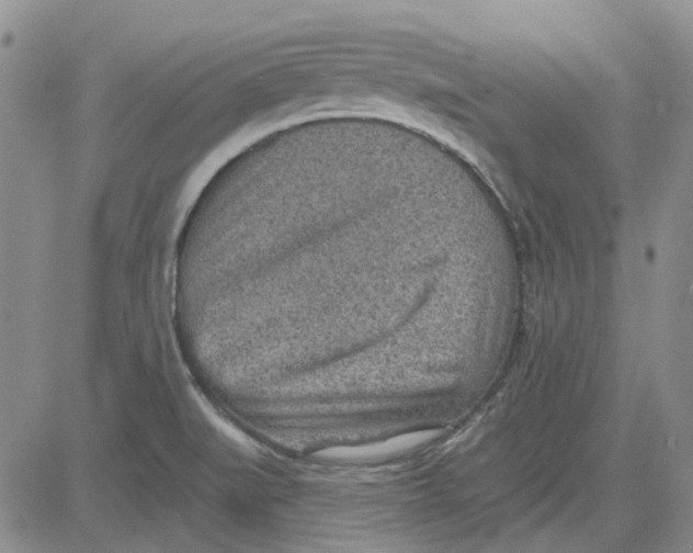 X0000080721519200701051021