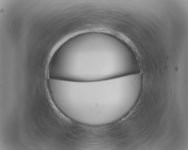 X0000080721520200701051021