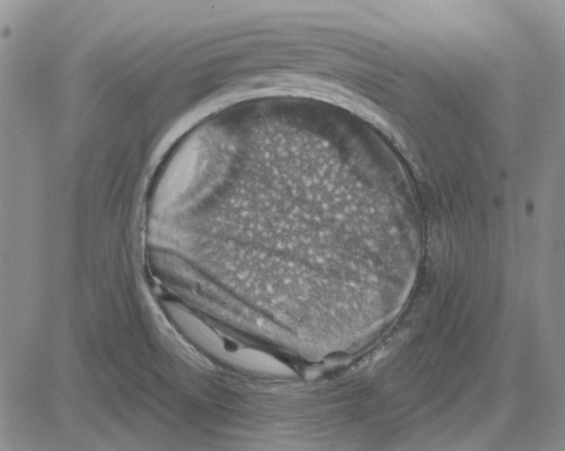 X0000080721522200701051021