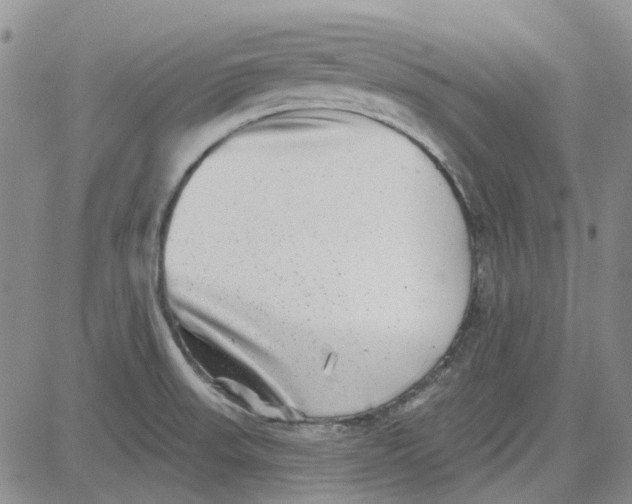 X0000080721523200701051021