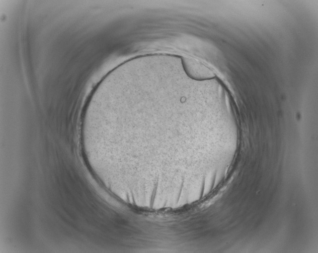 X0000080721525200701051021