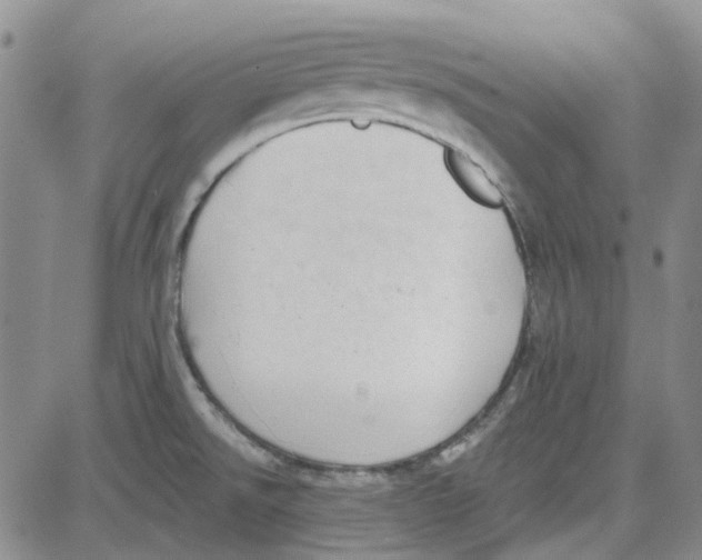 X0000080721526200701051021