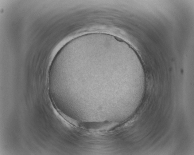 X0000080721527200701051021