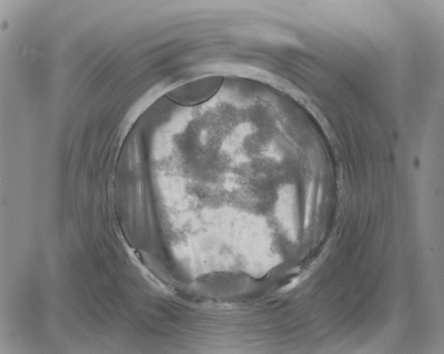 X0000080721529200701051021