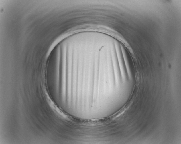 X0000080721530200701051022