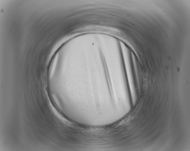 X0000080721531200701051022