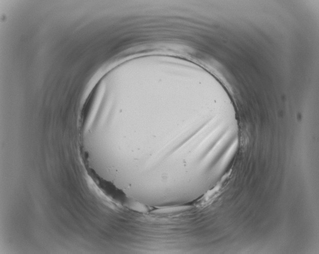 X0000080721532200701051022