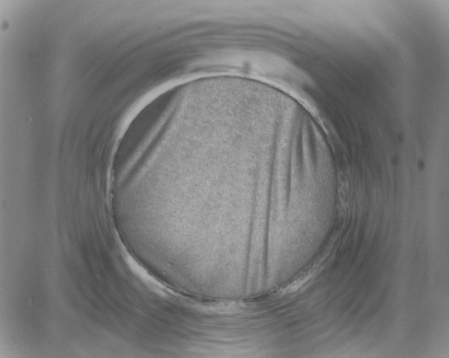 X0000080721535200701051022