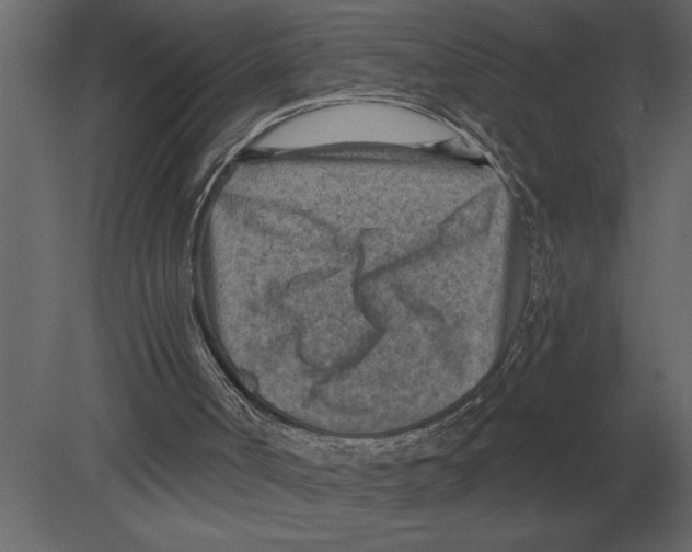 X0000080720002200701121856