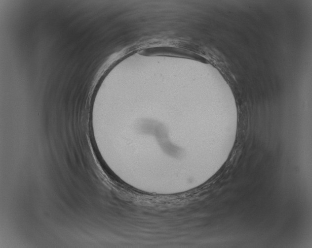 X0000080720003200701121856