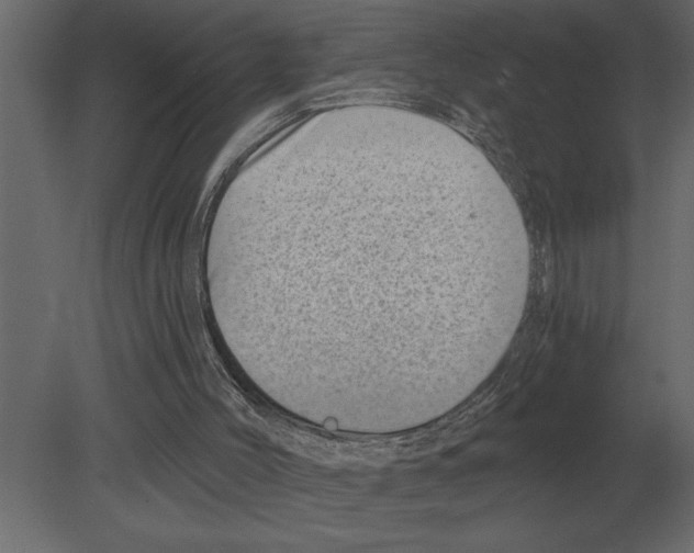 X0000080720004200701121856