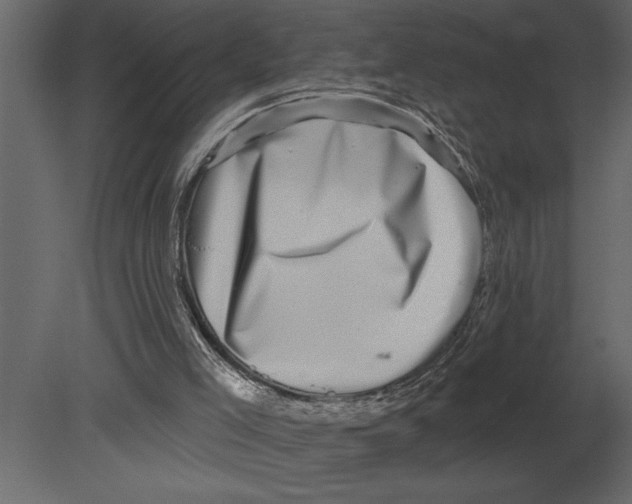 X0000080720005200701121856