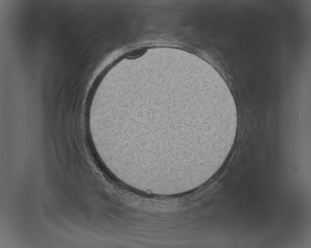 X0000080720008200701121856