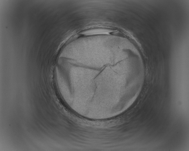 X0000080720010200701121856