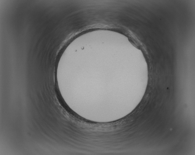 X0000080720011200701121856