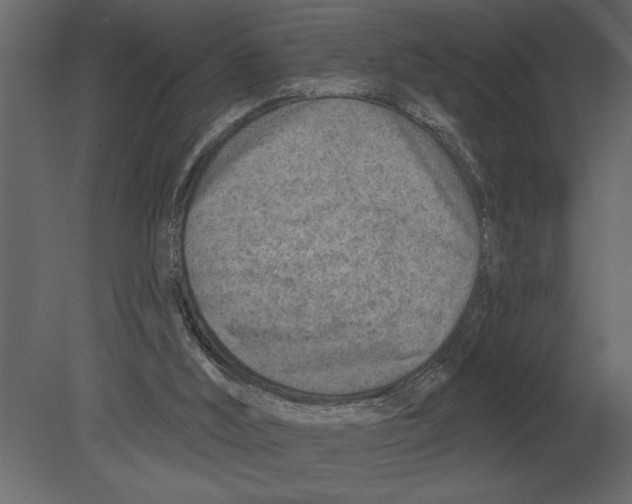 X0000080720012200701121855