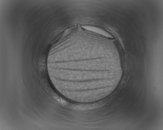 X0000080720017200701121855