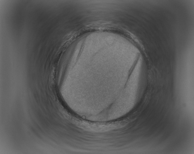 X0000080720018200701121855