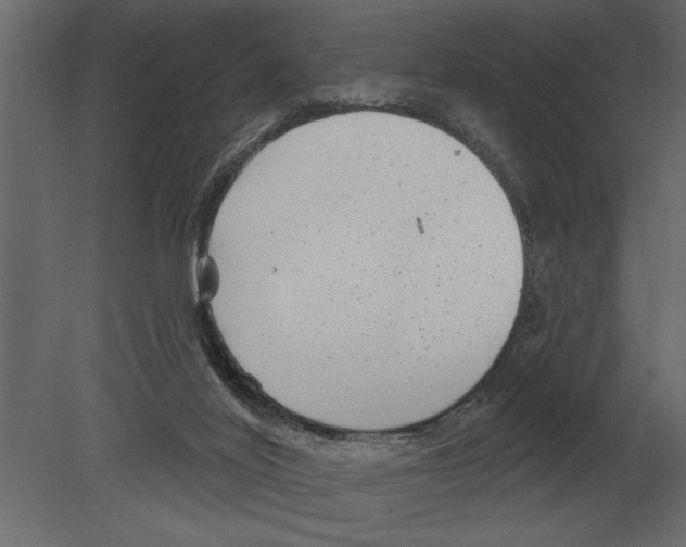 X0000080720020200701121855