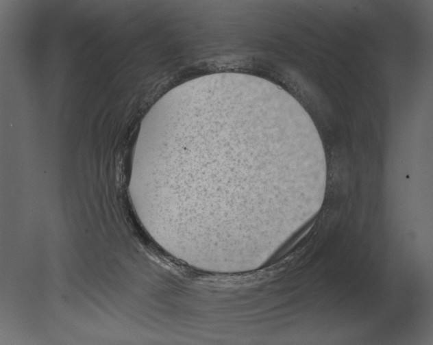 X0000080720025200701121855