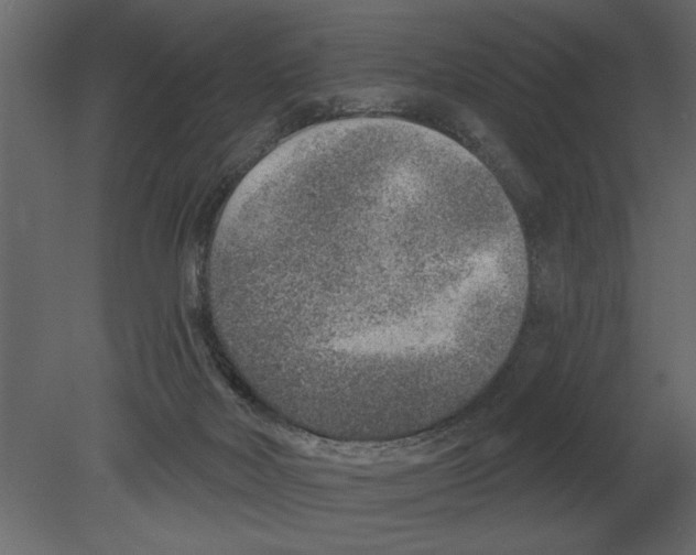 X0000080720026200701121855