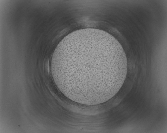 X0000080720028200701121855