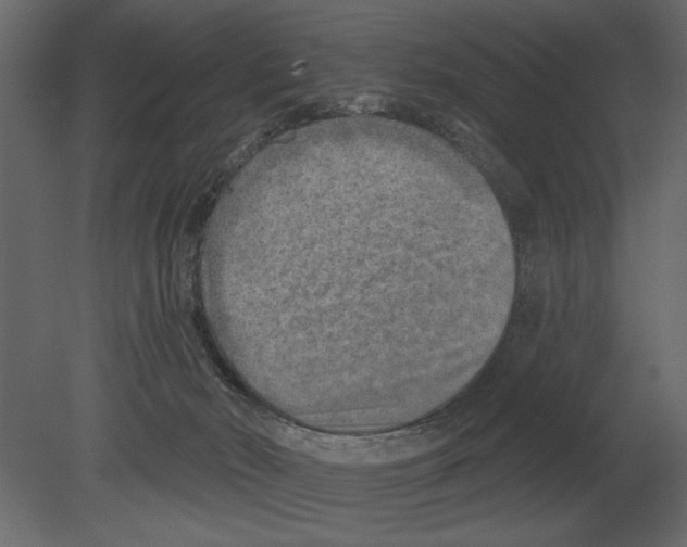 X0000080720030200701121855