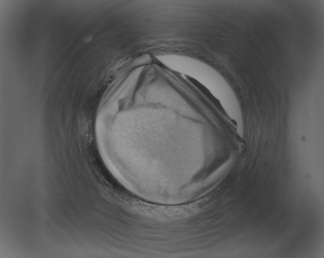 X0000080720031200701121855