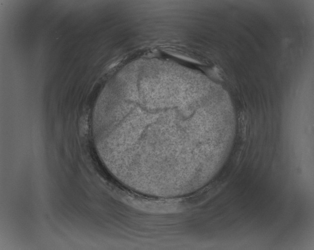 X0000080720032200701121855