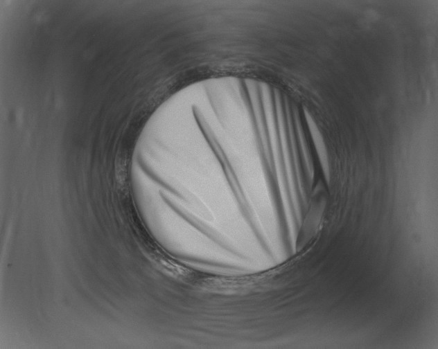 X0000080720033200701121855