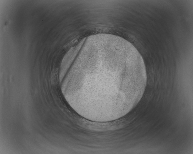 X0000080720034200701121855